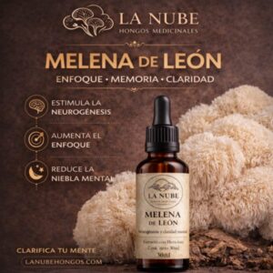 whatsapp image 2026 04 10 at 14.51.2196