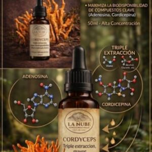 whatsapp image 2026 04 10 at 14.51.2510